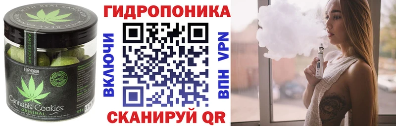 где купить наркотик  МЕГА ссылки  Печенье с ТГК конопля  Судогда 