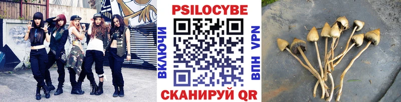 Галлюциногенные грибы MAGIC MUSHROOMS  мега как войти  Судогда  цены наркотик 